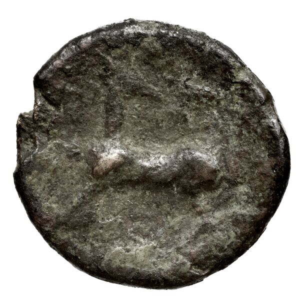 Ephesus Kinns and Holt 2023 Period IIIa, AE XI, реверс, bnf-iris