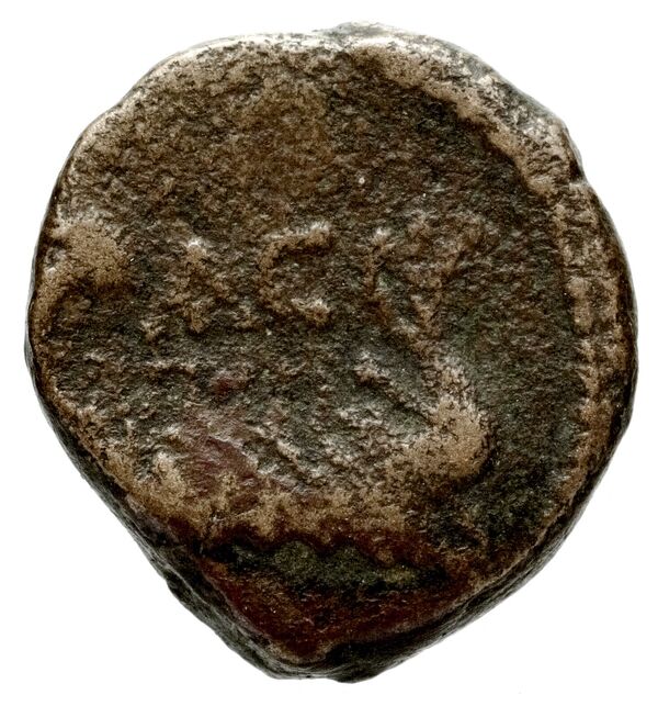 Ascalon BMC Ascalon 21-29, реверс, bnf-iris