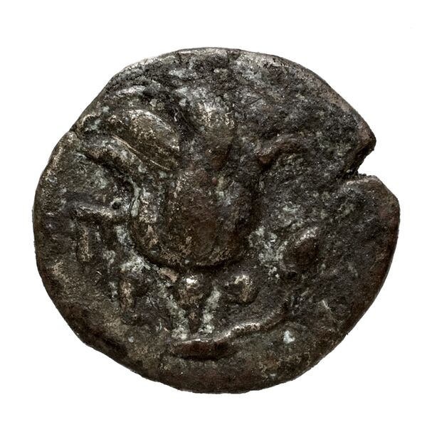 Rhodes Ashton 2001 317-31, аверс, bnf-iris
