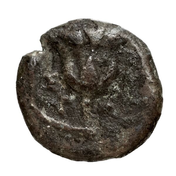 Rhodes Ashton 2001 317-31, реверс, bnf-iris