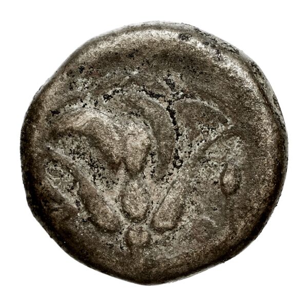 реверс Rhodes Ashton 2001 57-66