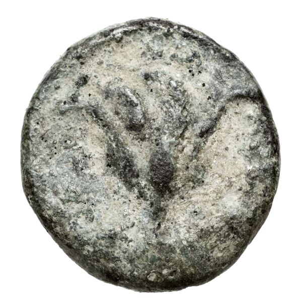 Rhodes Ashton 2001 57-66, аверс, bnf-iris