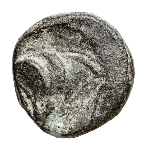 Rhodes Ashton 2001 57-66, реверс, bnf-iris