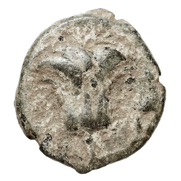 Rhodes Ashton 2001 317-31, реверс, bnf-iris