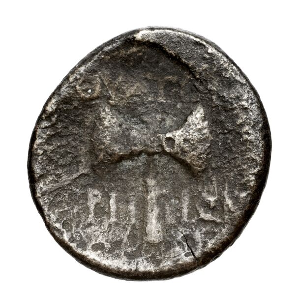 Thyateira Hochard 2020 2.1.2359, реверс, bnf-iris