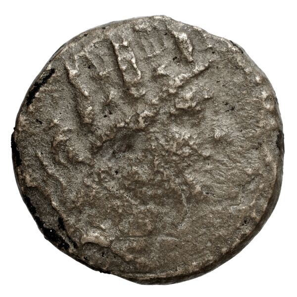 Apamea in Phrygia Ashton 2016 3, аверс, bnf-iris