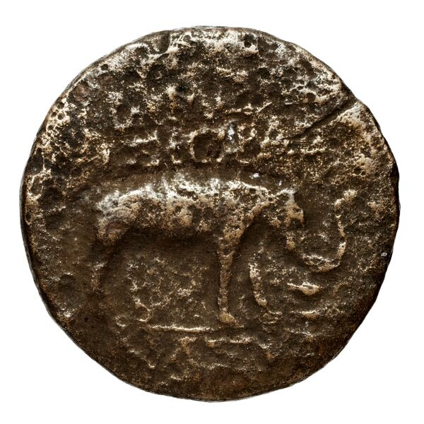 реверс Apameia in Syria BMC Apamea 3, 5, 14