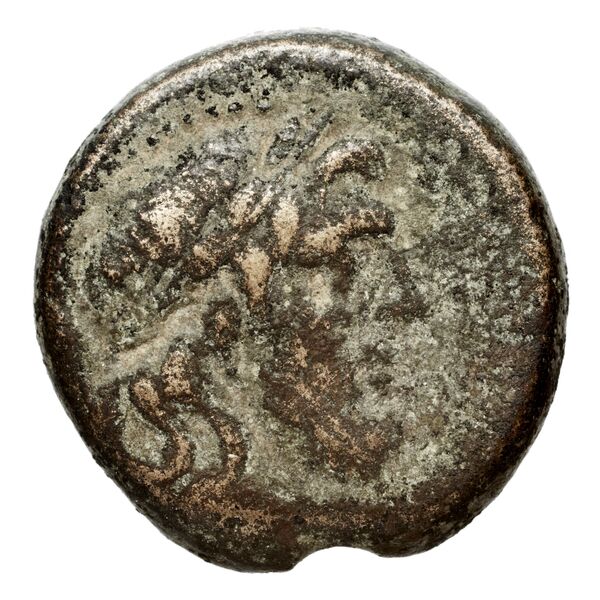 Seleuceia Pieria BMC Seleuceia in Pieria 11-13, аверс, bnf-iris