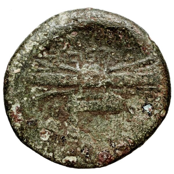 реверс Seleuceia Pieria Butcher 2004 Autonomous coinage a