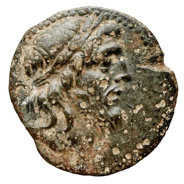 Seleuceia Pieria BMC Seleuceia in Pieria 11-13, аверс, bnf-iris