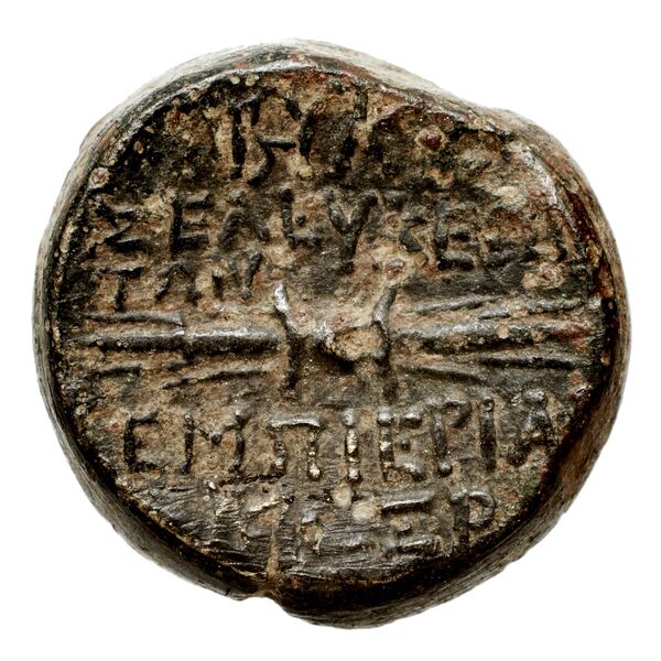 Seleuceia Pieria BMC Seleuceia in Pieria 11-13, реверс, bnf-iris