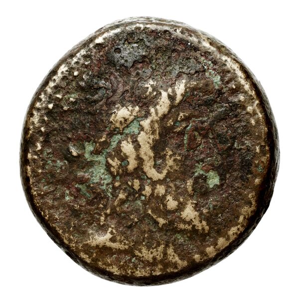 Seleuceia Pieria BMC Seleuceia in Pieria 11-13, аверс, bnf-iris