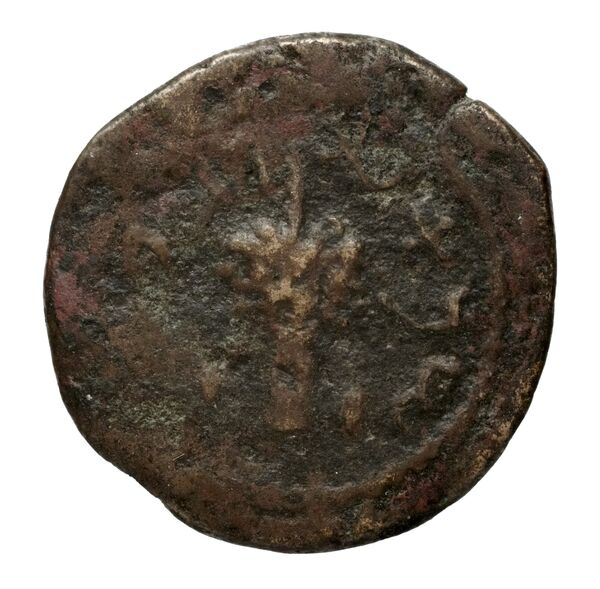 реверс Simon Maccabaeus Judaea Hendin 2010 1369