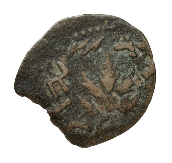 реверс Simon Maccabaeus Judaea Hendin 2010 1363