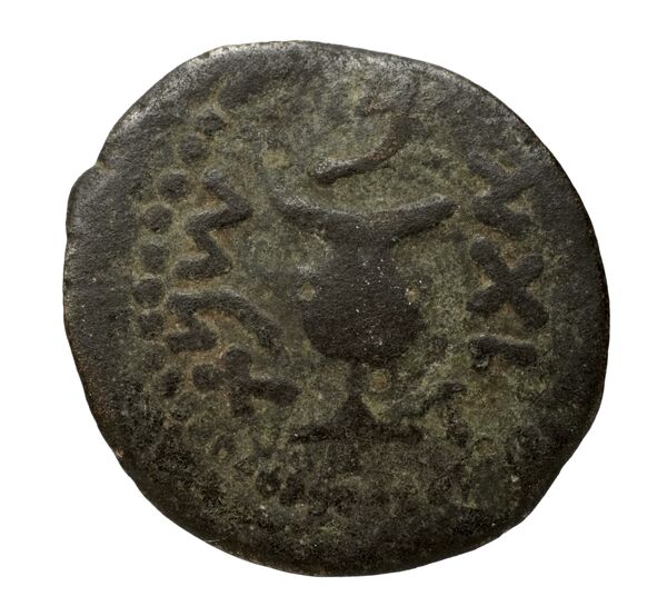 Simon Maccabaeus Judaea Hendin 2010 1360, аверс, bnf-iris