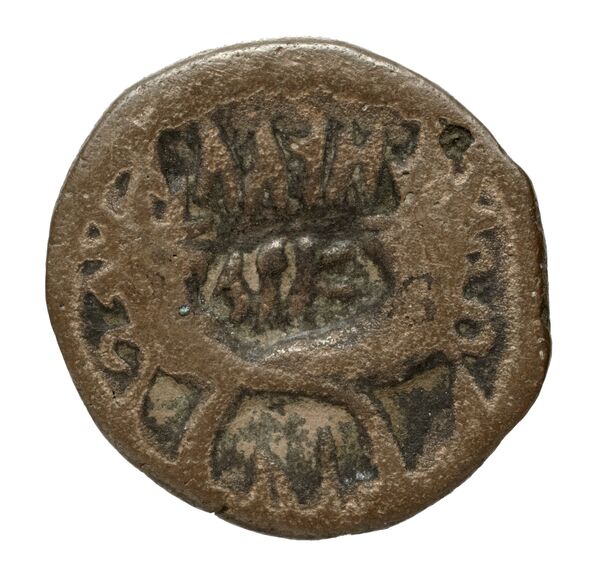 реверс Aretas IV of Nabataea Petra Barkay 2019 186, 188