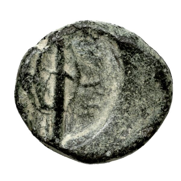 Polyrhenium Stefanakis 2013 58-101, реверс, bnf-iris