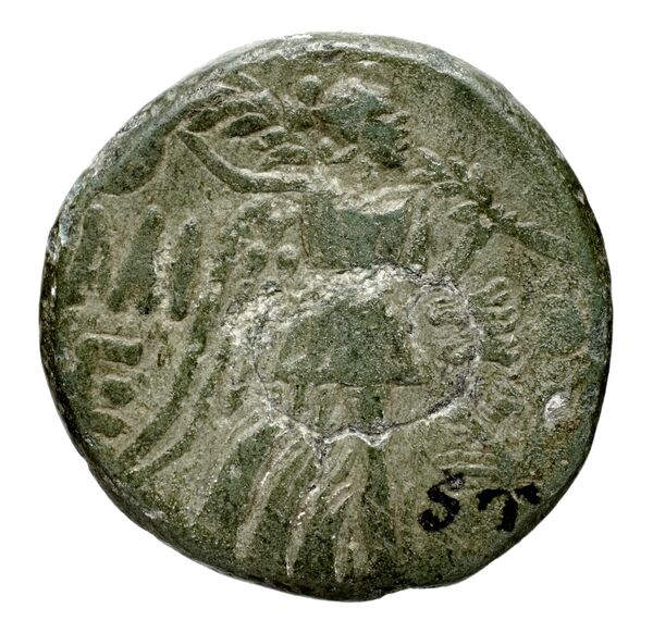 Amisus Waddington 1925 44, реверс, bnf-iris