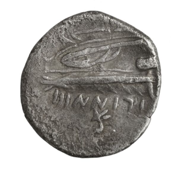 реверс Aradus Duyrat 2005 1455-1557