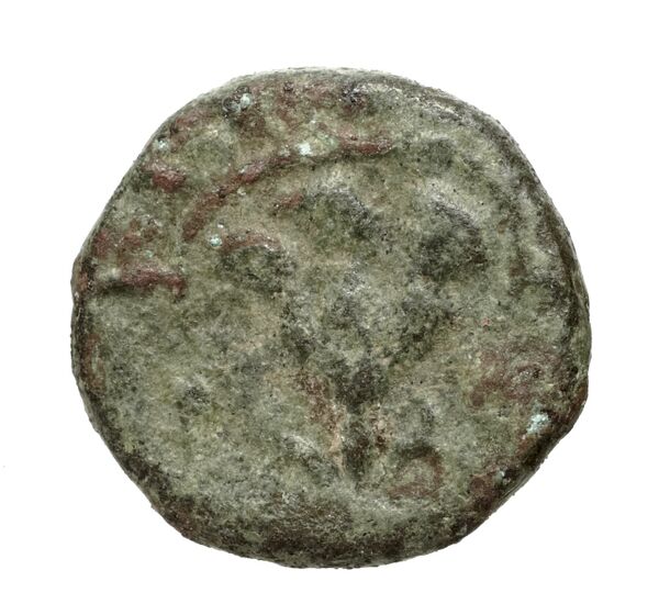 Rhodes Ashton 2001 234-8, реверс, bnf-iris