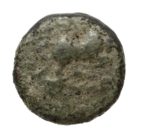 Tralles BMC Tralles 66-8, реверс, bnf-iris