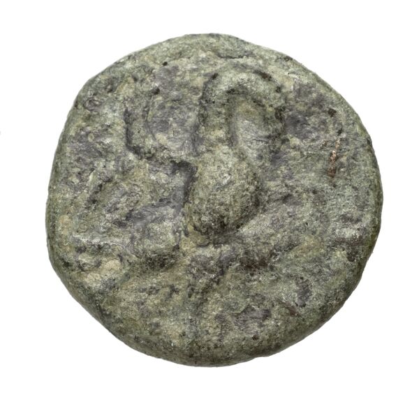 Lyttus Svoronos 1890 (1972) 75-82, реверс, bnf-iris