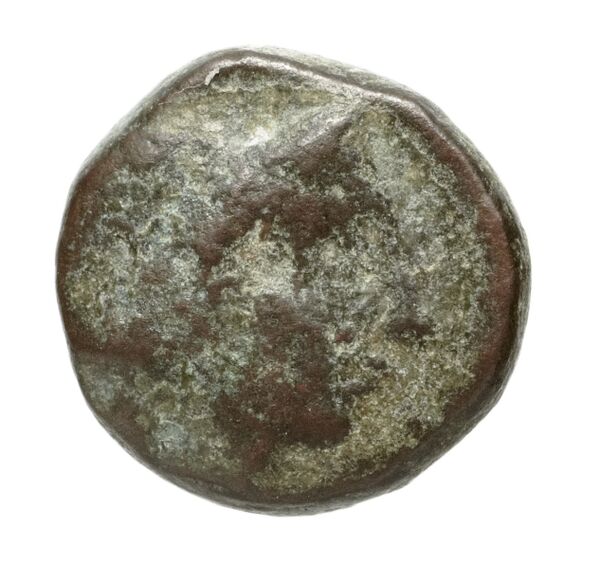 Cnossus Carrier 2017 323-579, реверс, bnf-iris
