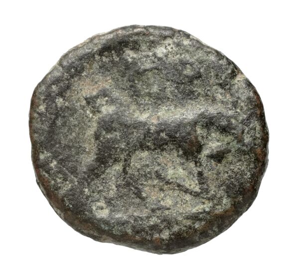 Gortyn Carbone 2016 251-268, реверс, bnf-iris