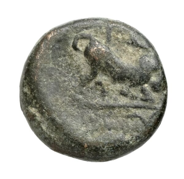 Gortyn Carbone 2016 251-268, реверс, bnf-iris