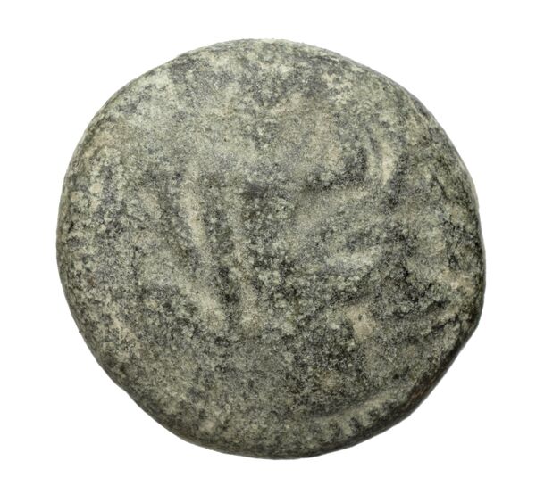 Gortyn Carbone 2016 118-122, аверс, bnf-iris