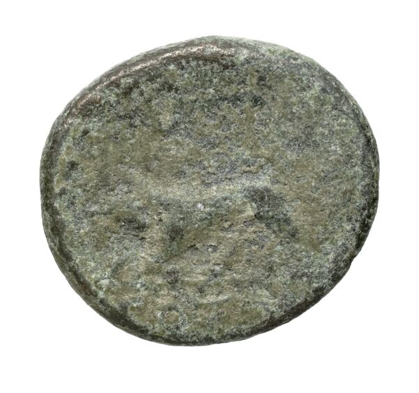 Gortyn Carbone 2016 177-185, реверс, bnf-iris