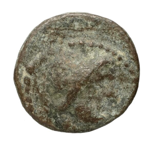 Gortyn Carbone 2016 131-142, аверс, bnf-iris