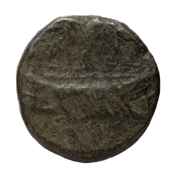 Tyre BMC Tyre 252-267, реверс, bnf-iris