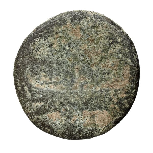 Tyre BMC Tyre 252-267, реверс, bnf-iris