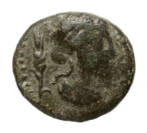 Centuripae Puglisi 2009 156, аверс, bnf-iris