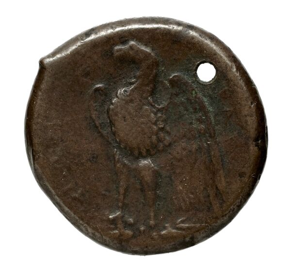 Hicetas Syracuse Puglisi 2009 326, реверс, bnf-iris