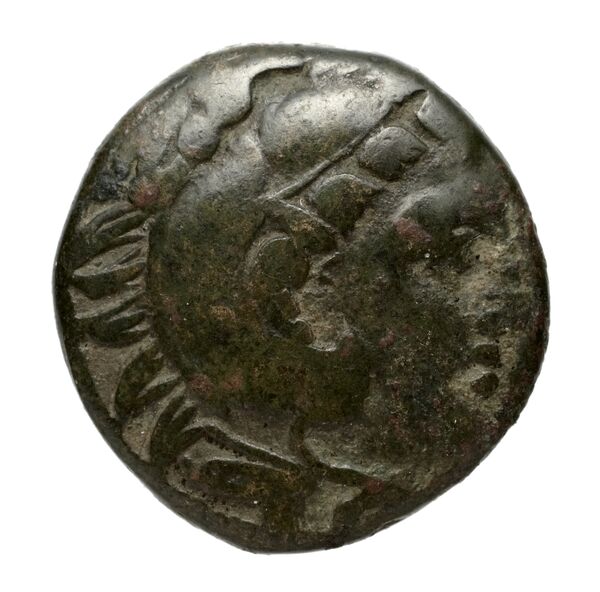 Cassander Macedon AMNG III.2 3-4, аверс, bnf-iris