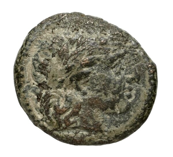 Cassander Macedon AMNG III.2 9, аверс, bnf-iris