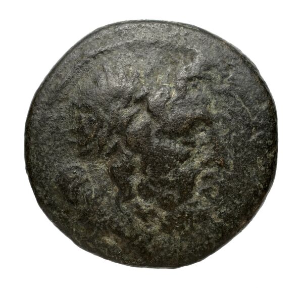 Bottiaei Macedon Kremydi 2018 Bronze Group I, series 1, аверс, bnf-iris