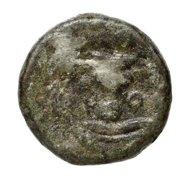 Corcyra BMC Corcyra 449-468, реверс, bnf-iris