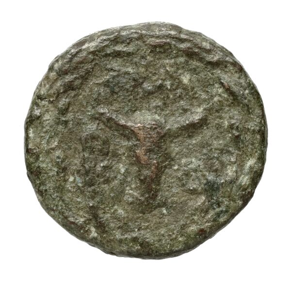Corcyra BMC Corcyra 449-468, реверс, bnf-iris