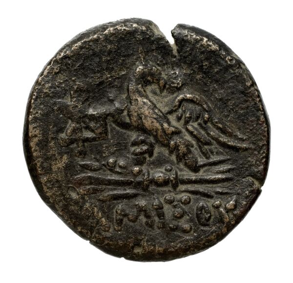 Amisus Waddington 1925 15, реверс, bnf-iris
