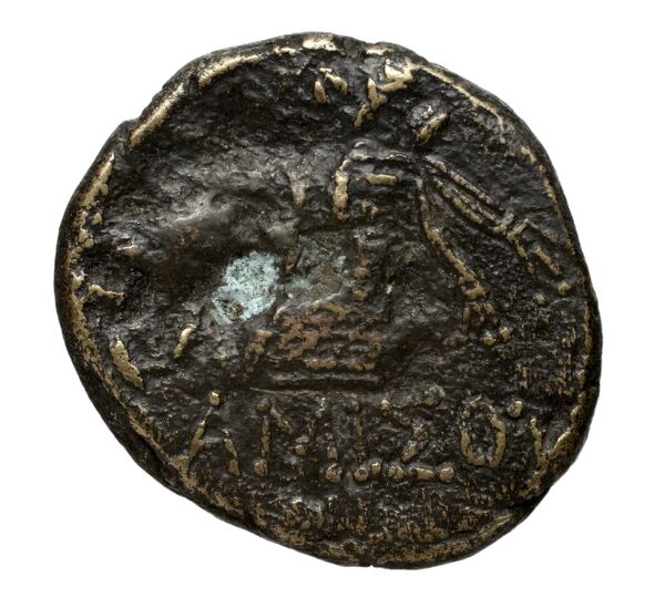 Amisus Waddington 1925 24, реверс, bnf-iris