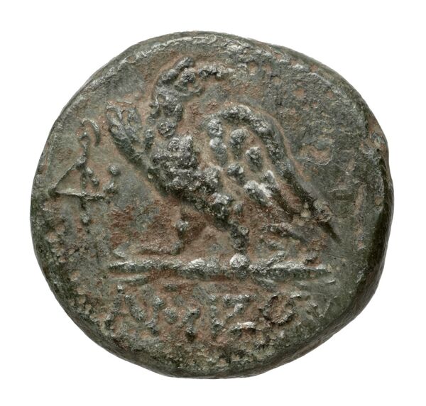 Amisus Waddington 1925 15, реверс, bnf-iris