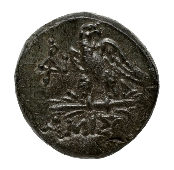 Amisus Waddington 1925 15, реверс, bnf-iris