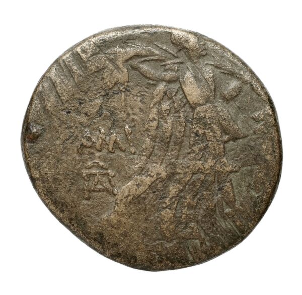 Amisus Waddington 1925 44, реверс, bnf-iris