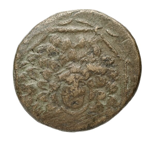 Amisus Waddington 1925 44, аверс, bnf-iris
