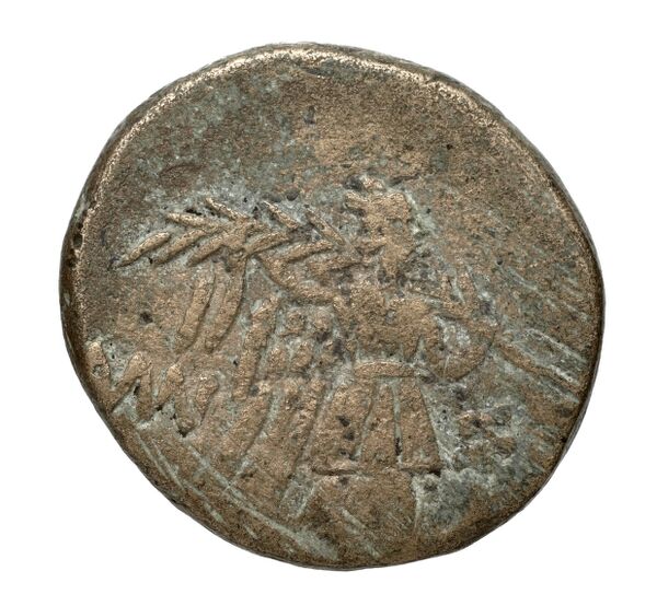 Amisus Waddington 1925 44, реверс, bnf-iris