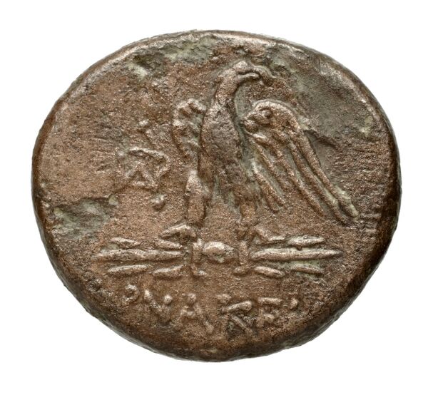 Pharnaceia Waddington 1925 4, реверс, bnf-iris