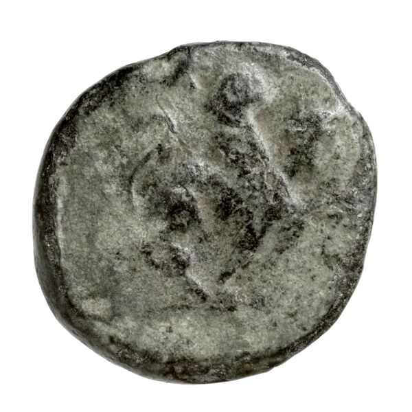 Caunus Konuk 1998 pl. 50, B, аверс, bnf-iris